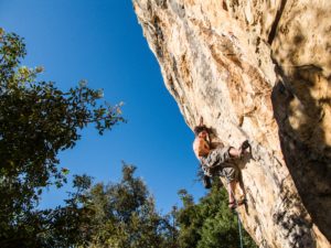 board opportunities