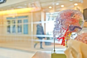 cognitive load