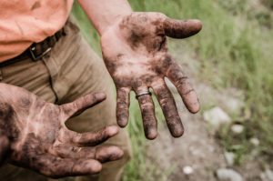 social impact