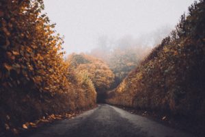 uncertainty